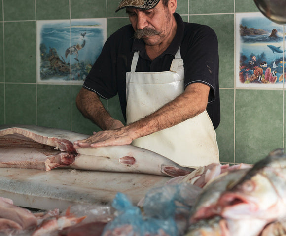 Preparing Your Catch: From Ocean to Table