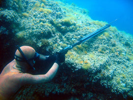 Spearfishing Safety 101: Essential safety measures every diver should know