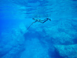 The Beginner’s Guide to Spearfishing in Australia: A Comprehensive Starter Guide for Newcomers